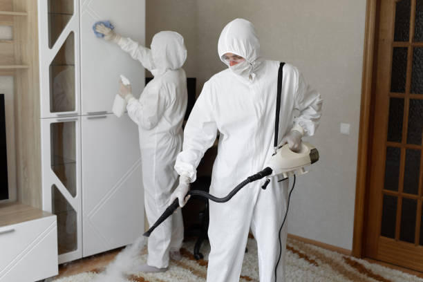 Best Mold Testing  in Le Roy, IL