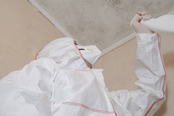 Best Professional Mold Removal  in Le Roy, IL